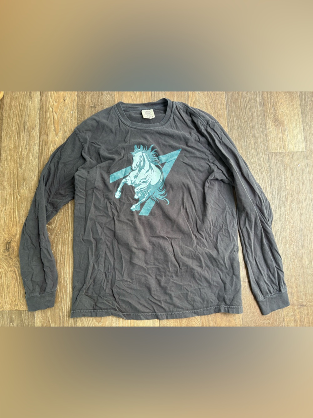 Comfort Colors Black Long-Sleeve Tee with Teal Horse Graphic